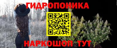 СК Янаул