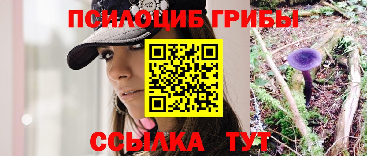 Галлюциногенные грибы мухоморы  Галлюциногенные грибы прущие грибы  Прохладный  Вход с VPN 