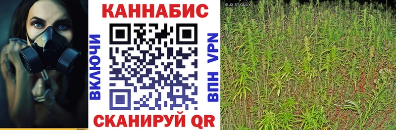 Шишки марихуана VHQ гидра ССЫЛКА Прохладный